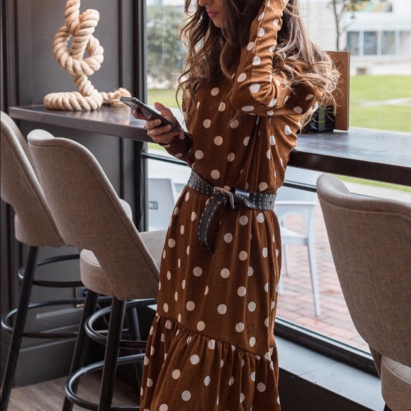 Zara Dresses & Skirts - GORGEOUS ZARA NWT Polka Dot Brown Dress